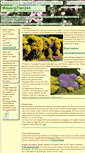 Mobile Screenshot of mauerpflanzen.de